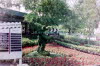 32-01